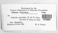Image Associated With the Occurence